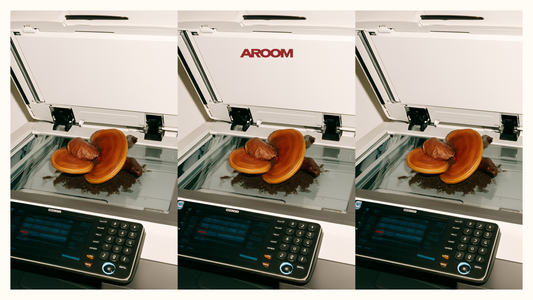 Reishi mushroom on printer, editorial shoot
